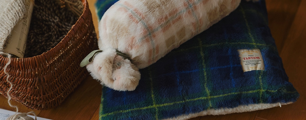 クッション