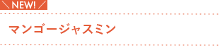 マンゴージャスミン