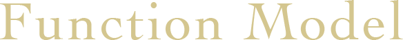 Function Model